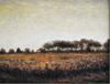 fieldwesttisbury